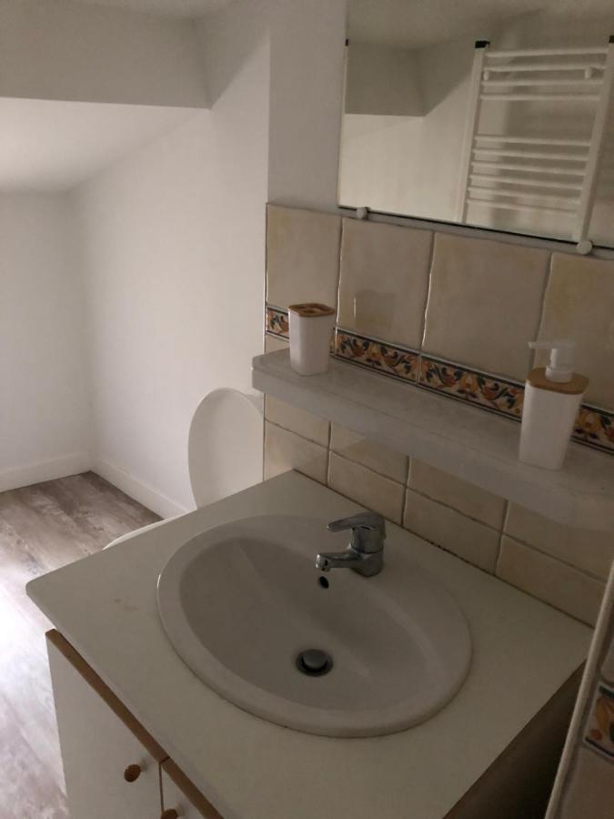 Appartement Cosy Et Lumineux Caussens Dış mekan fotoğraf