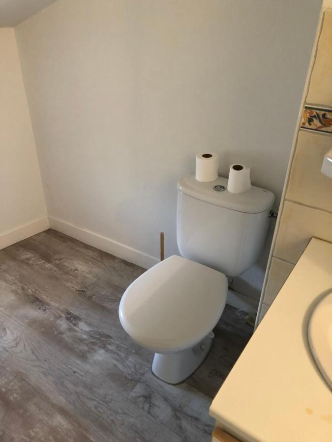 Appartement Cosy Et Lumineux Caussens Dış mekan fotoğraf